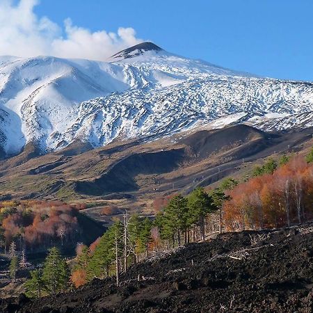 I Rustici Resort Трекастаньи Экстерьер фото